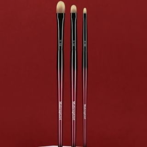 Hepius - Concealer Brush / Set