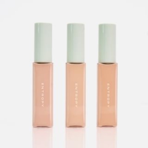 ENTROPY - Organza Fit Spatula Foundation - 3 Colors