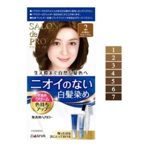 Salon De Pro Unscented Gray Hair Quick Color Cream