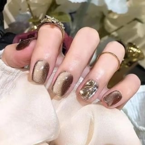 Pristella - Rhinestone Cat Eye Press On Nail