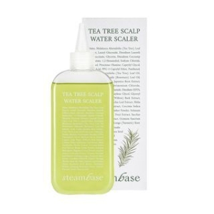 STEAMBASE - Tea Tree Scalp Water Scaler - 250ml