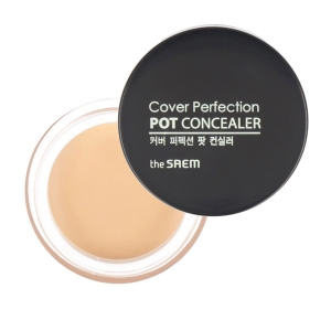 the SAEM Cover Perfection Pot Concealer 4g