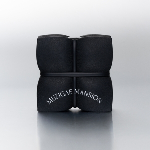 MUZIGAE MANSION Sleek Matt Cushion