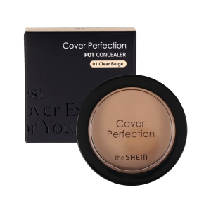 the SAEM Cover Perfection Pot Concealer 6g (Renewal)