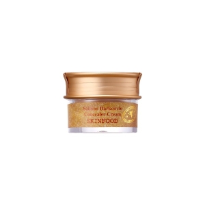 SKINFOOD - Salmon Darkcircle Concealer Cream - 10g